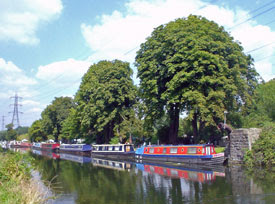 narrow boats along Rammey Marsh