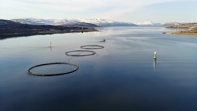 Tromso i okolice, co warto zobaczyć?