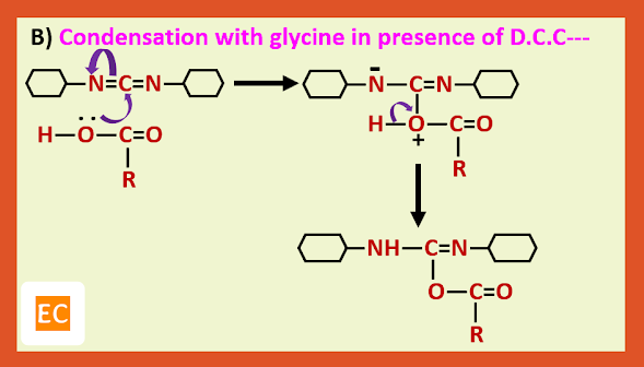 condensation with glycine