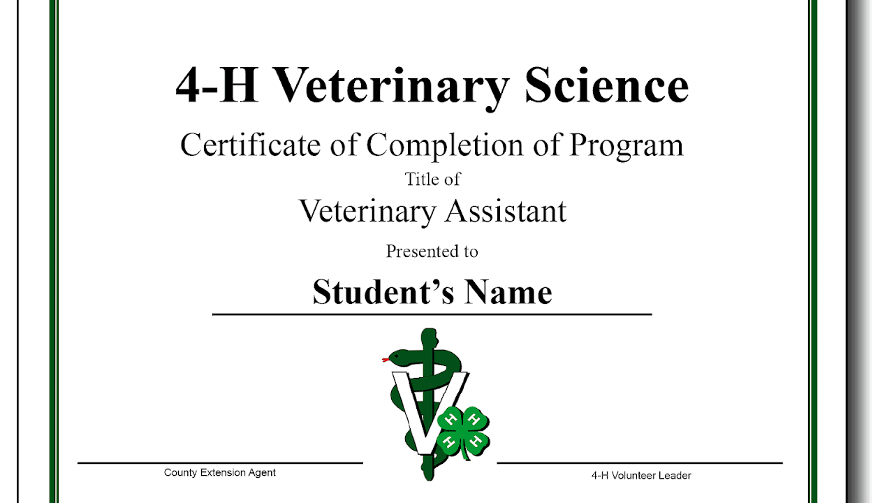 Vet Assistant Education