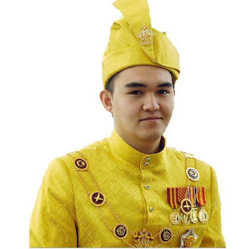 7 Gambar Tengku Amir, DYTM Raja Muda Selangor Jalani 
