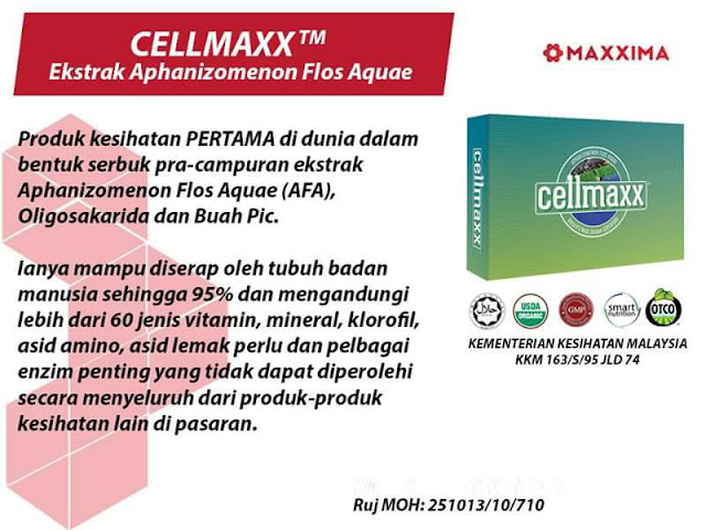 CellMaxx Beli 2 Kotak Terus Jadi Ahli Berdaftar - CellMaxx 