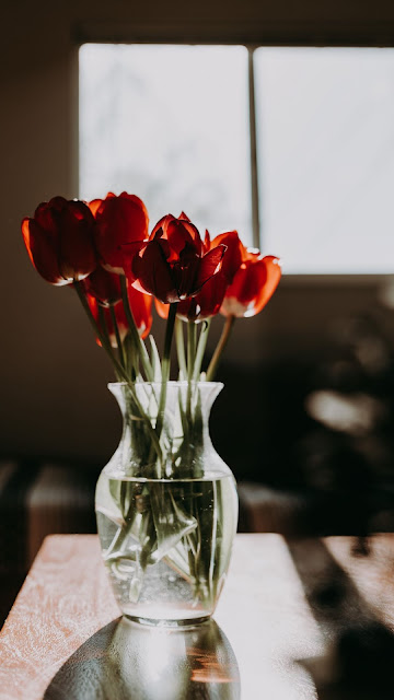 Tulips, Red, Flowers, Bouquet