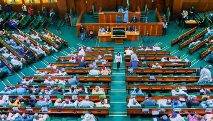 Twitter Ban Splits House Of Reps As PDP Members Stage Walkout