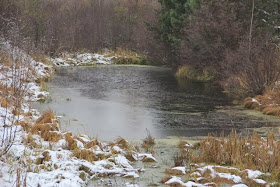 snow fringed pond covered with ice