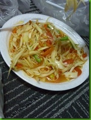 P1160670