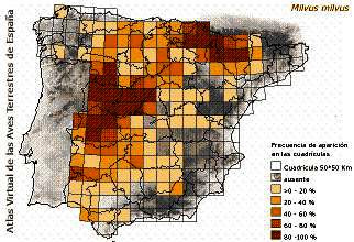 distribución milano