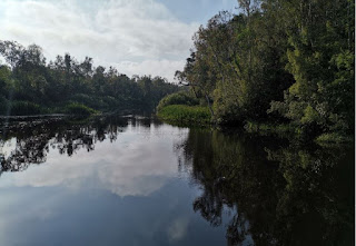 Indonesia, Borneo, Parque Nacional Tanjung Puting.