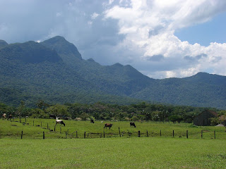 Joinville. Região agrícola do Piraí. Ao fundo, o Pico Jurapê, referência da cidade. Foto de Borges de Garuva, 2007.