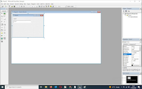 textbox label form project visual basic 6