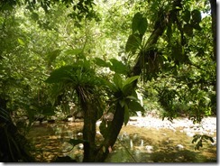 DSCN3306 DSCN3306