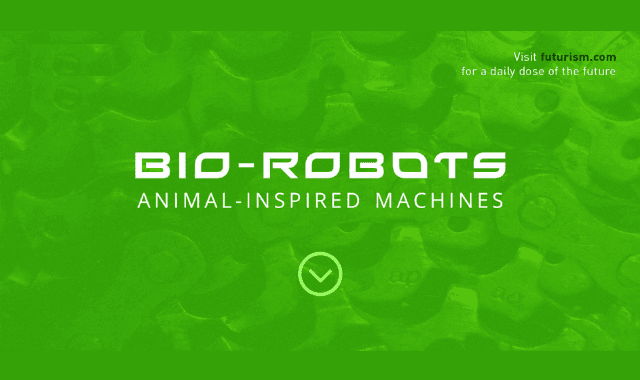 Bio Robots: Animal Inspired Machines