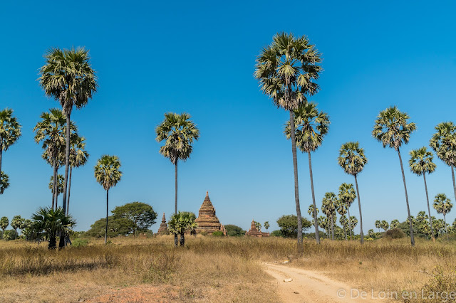 Bagan - Myanmar - Birmanie