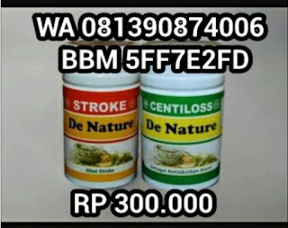 obat stroke termanjur