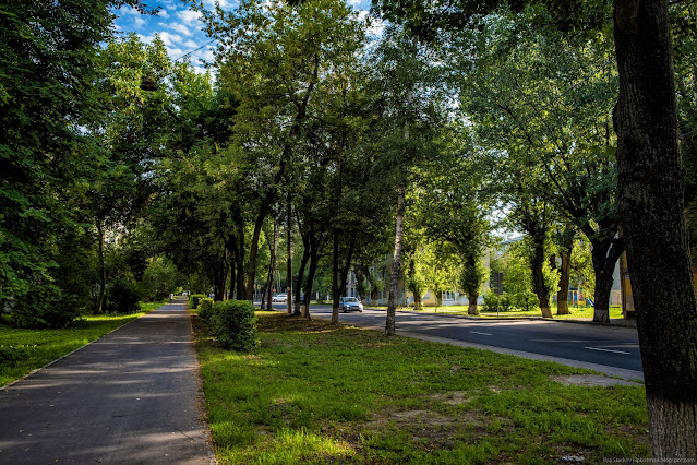 Пешеходная дорожка в тени деревьев