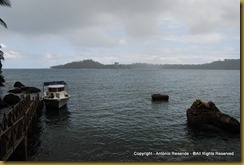 DSC_5653-001