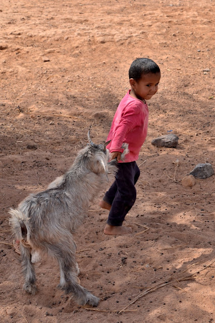 Niño nómada jugando con cabra en el lago seco de Iriki. Marruecos, valle del Draa