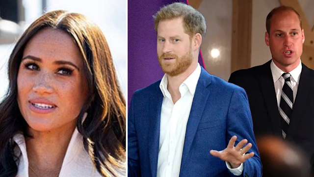 Meghan Markle Not the Sole Cause of Rift Between Prince William and Prince Harry, Claims Royal Expert