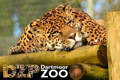 Dartmoor Zoological Park In California