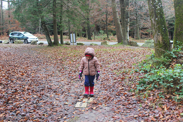 Sentier des Nutons Libin Wallonia with kids