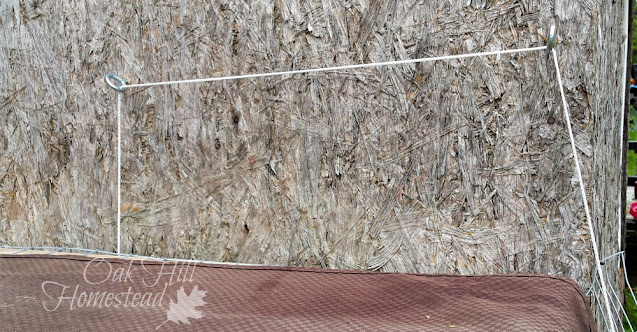 This photo shows the placement of the screw eye hooks and the clothesline that open and shut the chicken coop sliding door.