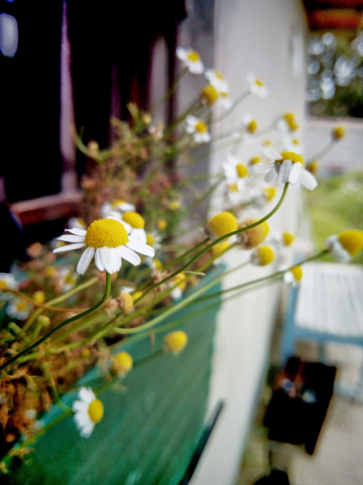 Colores de primavera