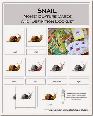 snailfile