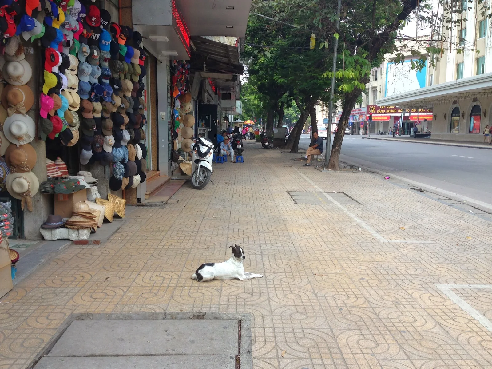 side-walk-withcutedog-hanoi-vietnam ハノイの道端で犬と出会う