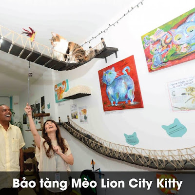 Bảo tàng Mèo - Lion City Kitty – The Cat Museum, Muses and Mansion