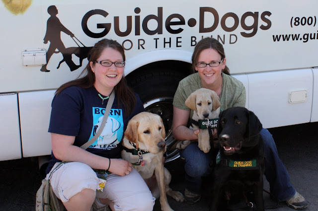 Megan, Paris, Becky, Rafferty and I all sit in front of the puppy truck under the words Guide Dogs