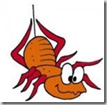 aranha