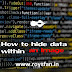 How to hide data within an image