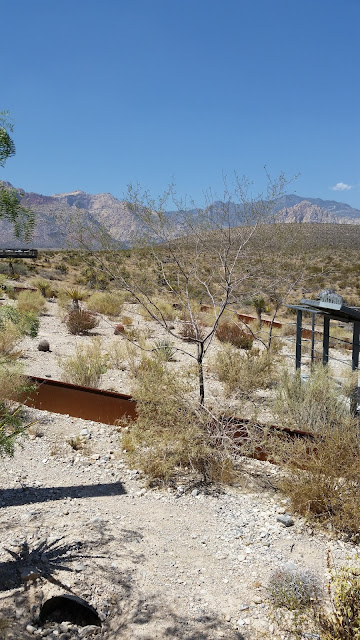 More Pictures From Our August 2015 Trip To Vegas:  Red Rock Canyon  --How Did I Get Here? My Amazing Genealogy Journey, Andrea Kelleher