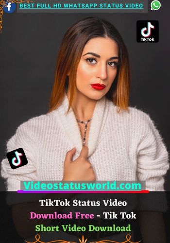 TikTok Status Video Download Free
