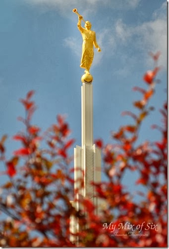 @Temple40