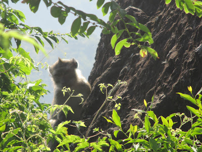 Gunung Budeg