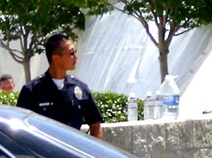 lapd officer that did nothing