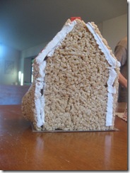 house demise 03