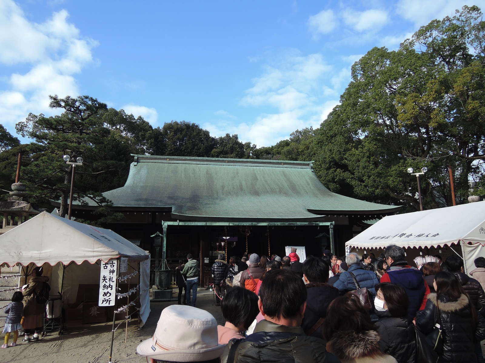 DSCN6690