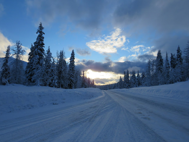 snowy highway lined with trees and sunset in background