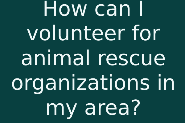 How can I volunteer for animal rescue organizations in my area?