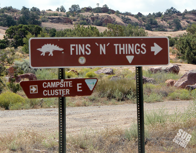 Fins N Things sign