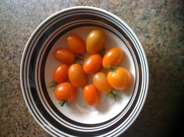 growing grape tomatoes