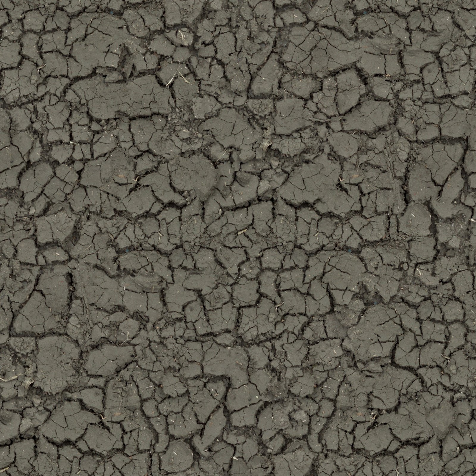 Mud cracked dirt soil ground seamless texture 2048x2048