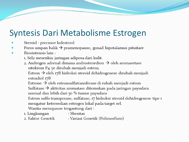 Syntesis Dari Metabolisme Estrogen