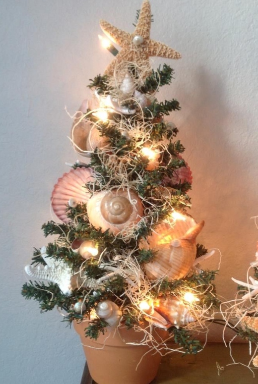 Tiny Christmas Tree in Pot with Lit Shell