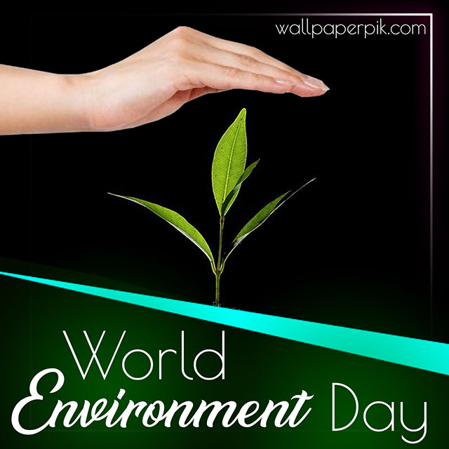 world environment day theme photo downloafd