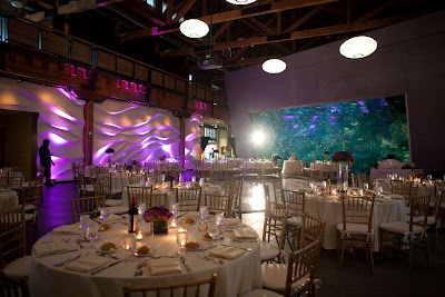 Wedding Venues Seattle on Seattle Aquarium At Night  First Weddings Of The Decade