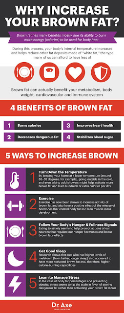 brown fat cells good, What is brown fat?