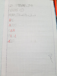 Quaderno di italiano classe prima